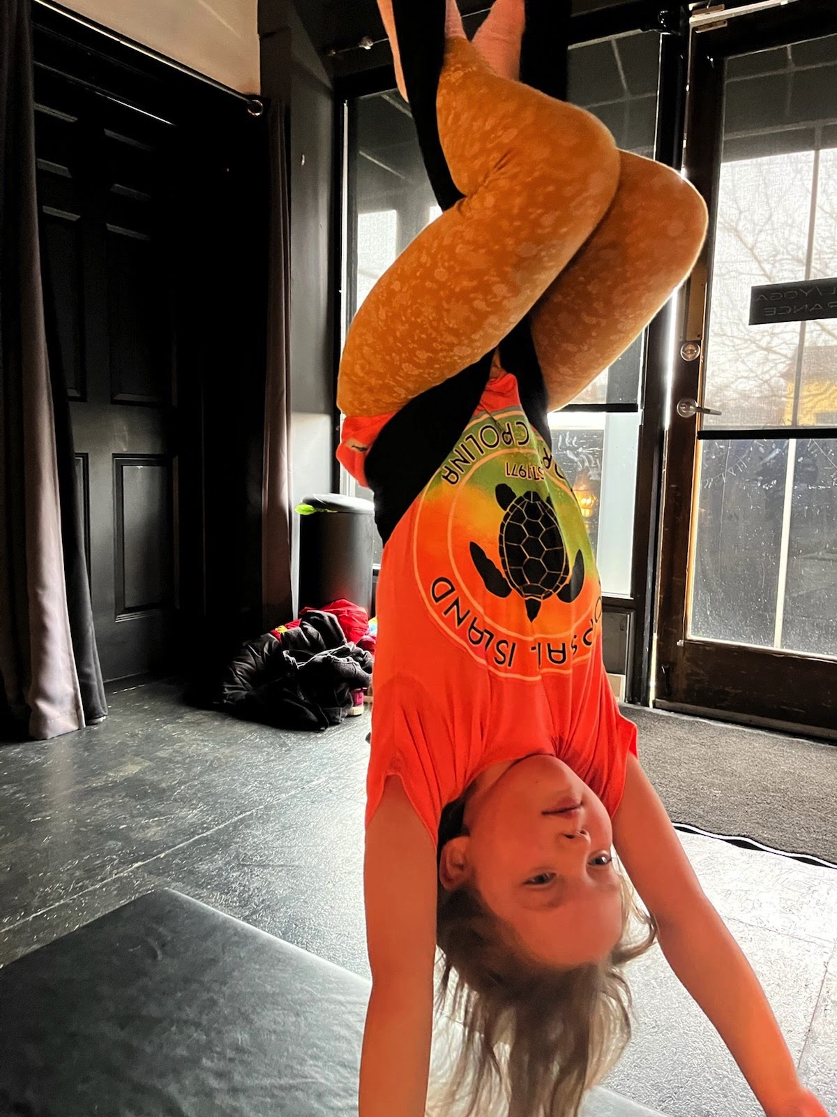 Aerial Arts Classes Kids Ohio